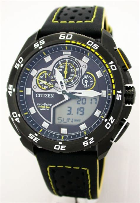 citizen wr 20 bar.